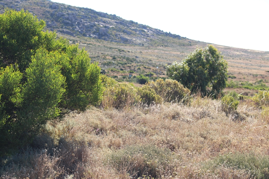 0 Bedroom Property for Sale in St Helena Views Western Cape